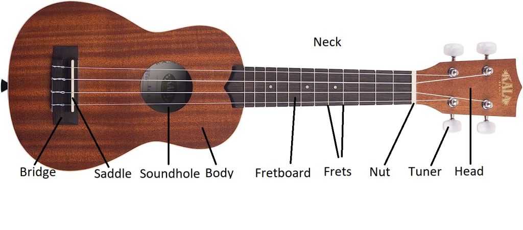 thumbnail image 2 of Ukulele Bass Strings - Polyurethane Strings For Fast Intonation & Reduced Finger Slip 2 of 14